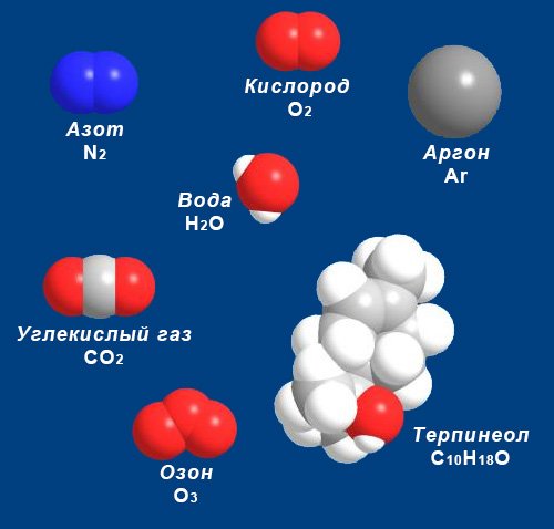 Модели молекул и названия веществ, входящих в состав лесного воздуха